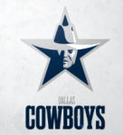 Fan Made NFL Logo